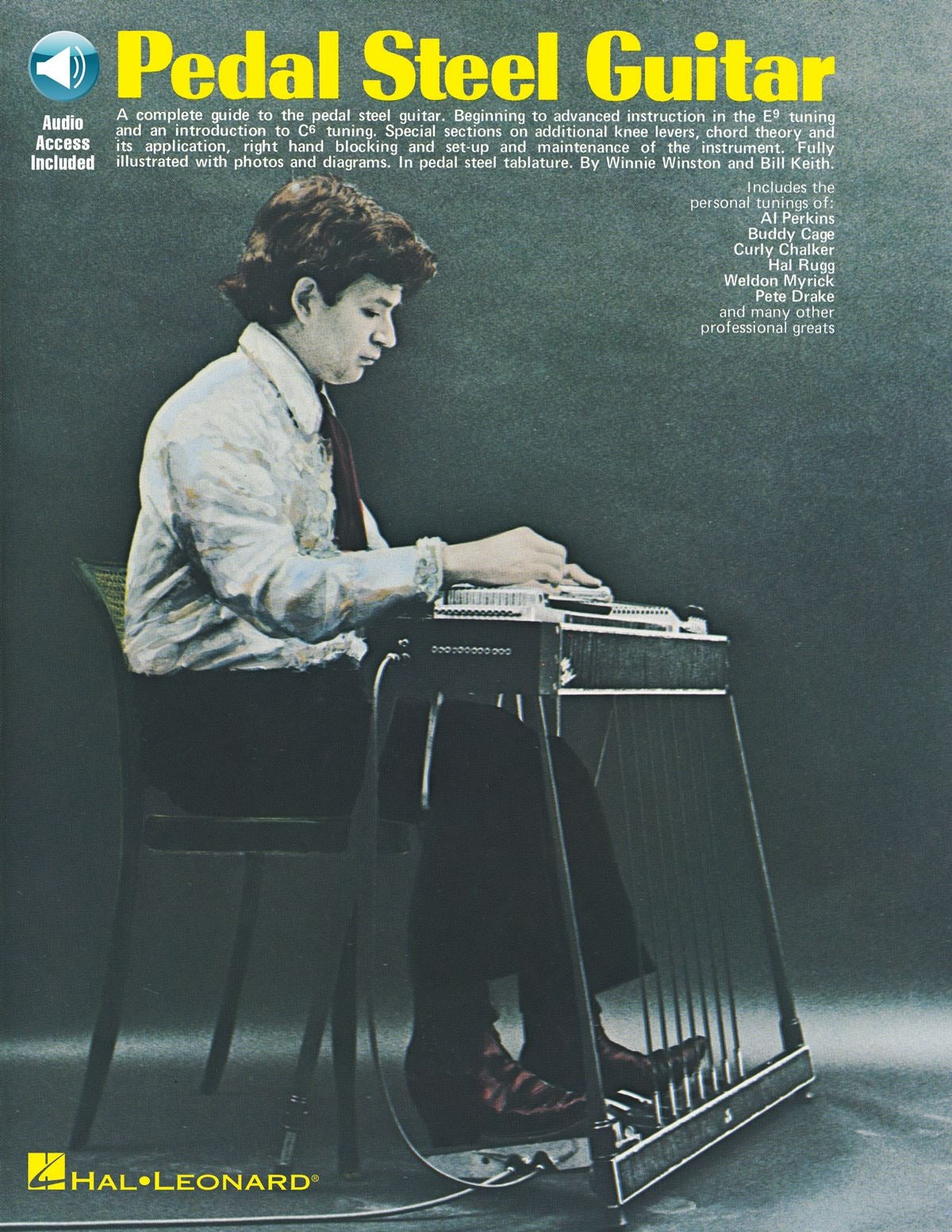 Pedal Steel Guitar | Gitaar