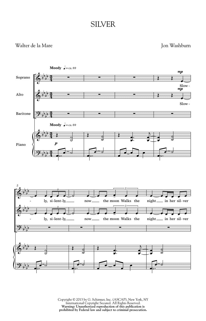 Washburn: Silver