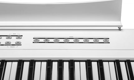 Kurzweil – KAS1-WH – Stage Piano