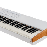 Arturia - 231641 - 88-Keys Hammer-Action Master Keyboard Midi-Controller