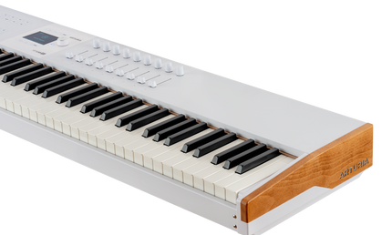 Arturia - 231641 - 88-Keys Hammer-Action Master Keyboard Midi-Controller
