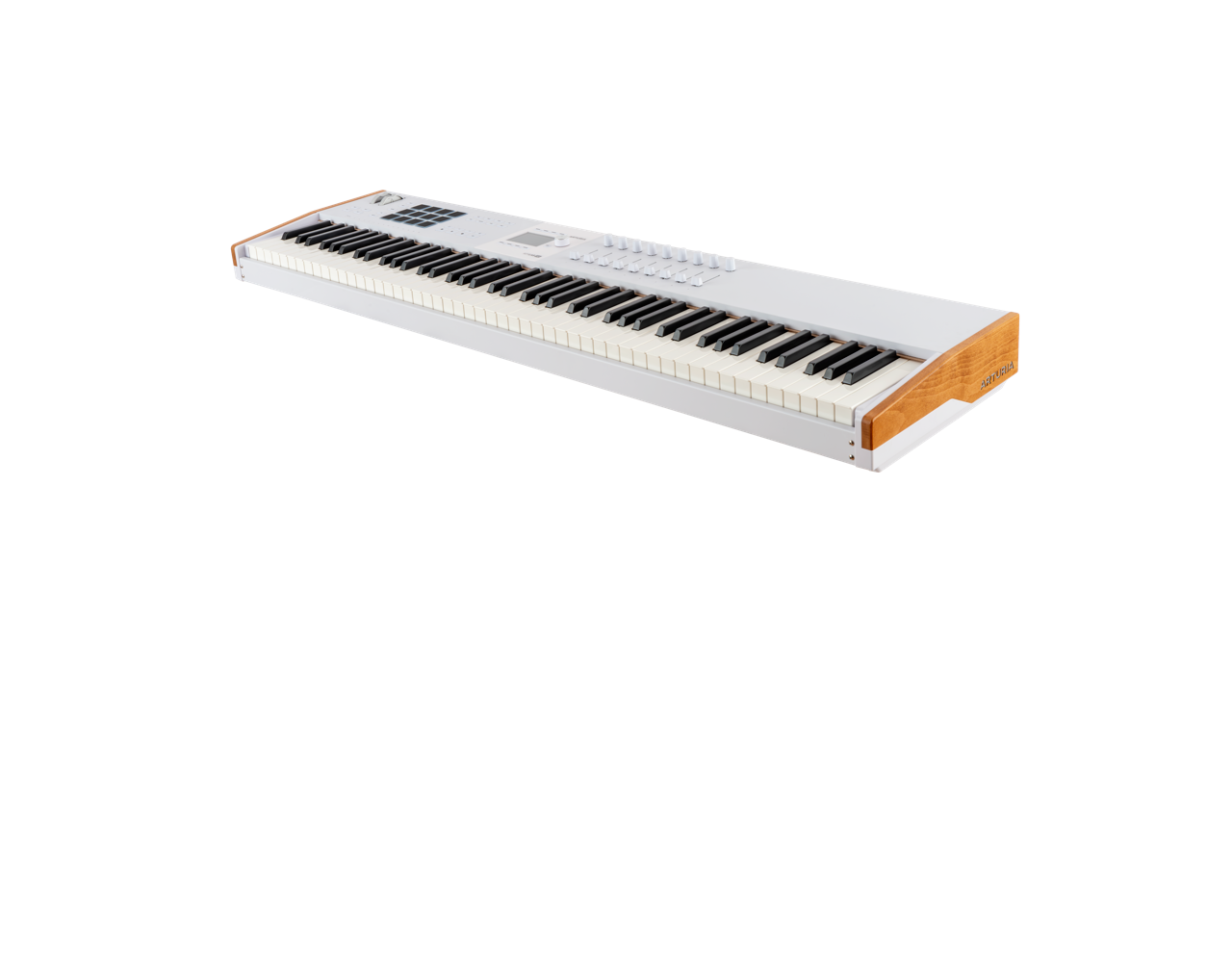 Arturia - 231641 - 88-Keys Hammer-Action Master Keyboard Midi-Controller