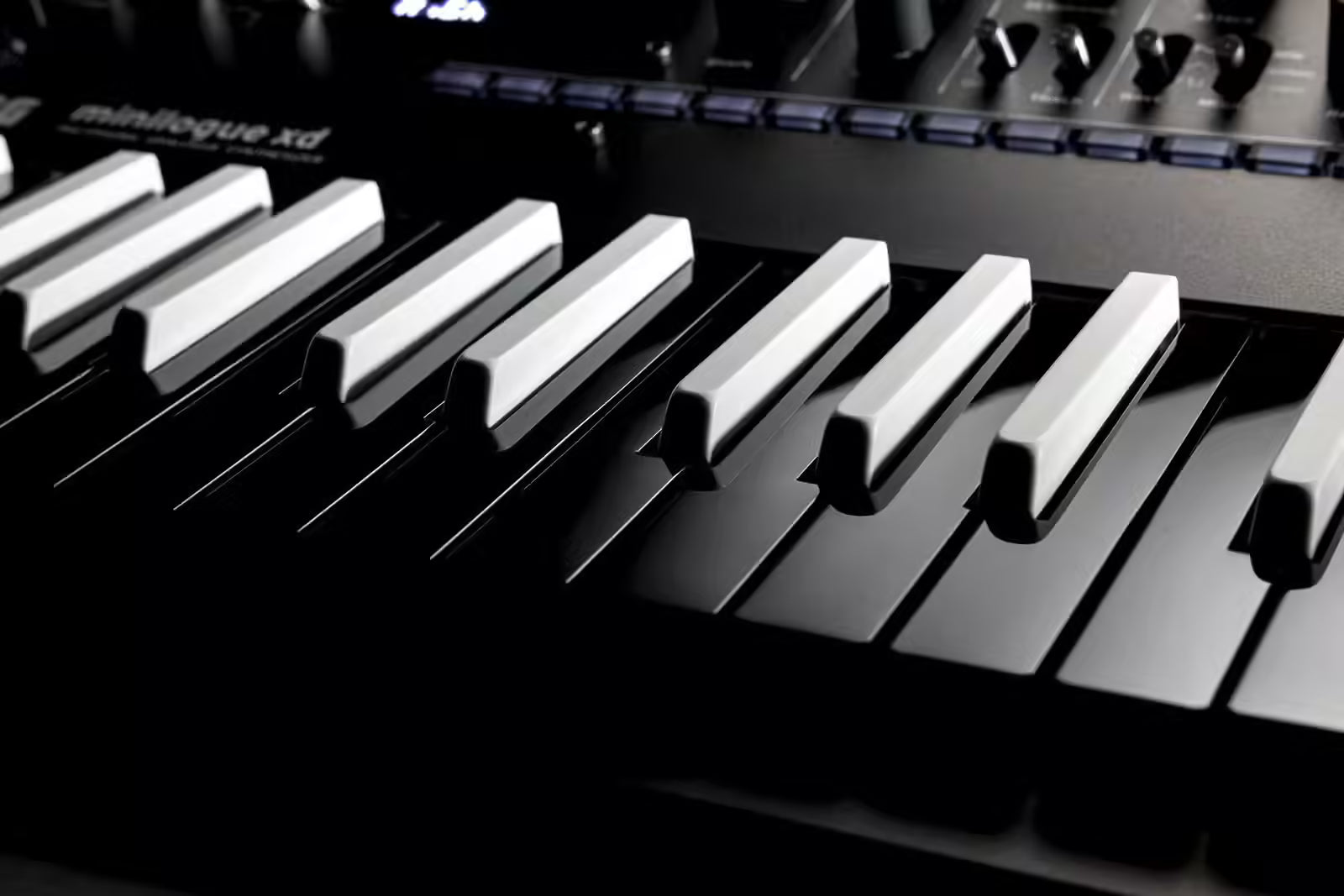 Korg MINILOGUE XD REVERSE EDITION