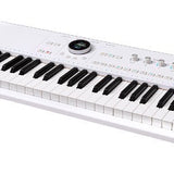 Arturia - Arastrolab - 61-Key Stage Keyboard