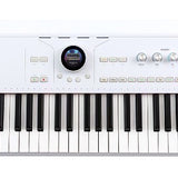Arturia - Arastrolab - 61-Key Stage Keyboard
