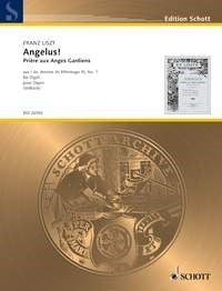 Angelus afbeelding 2