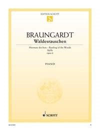 Fridolin Braungardt: Waldesrauschen Ges-Dur op. 6 (Piano) afbeelding 2