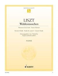 Waldesrauschen afbeelding 2