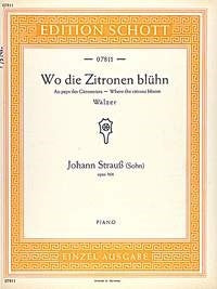 Johann Strauss Jr.: Wo die Zitronen blühn op. 364 (Piano) afbeelding 2