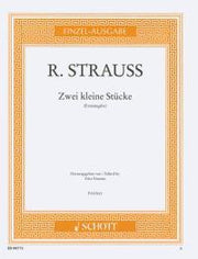Richard Strauss: Zwei kleine Stücke o. Op. AV. 22 (Piano)