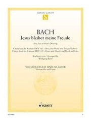 Johann Sebastian Bach: Jesus bleibet meine Freude (Cello, Piano)