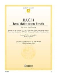 Johann Sebastian Bach: Jesus bleibet meine Freude (Cello, Piano)