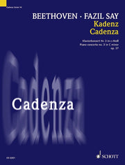 Kadenz c-Moll op. 37 Band 14 (Piano)
