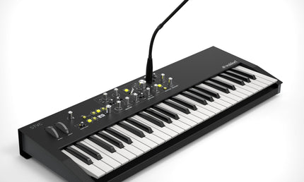 Waldorf – STVC – String Synthesizer with Vocoder