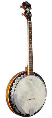 SX BJ564 4-snarige tenorbanjo naturel