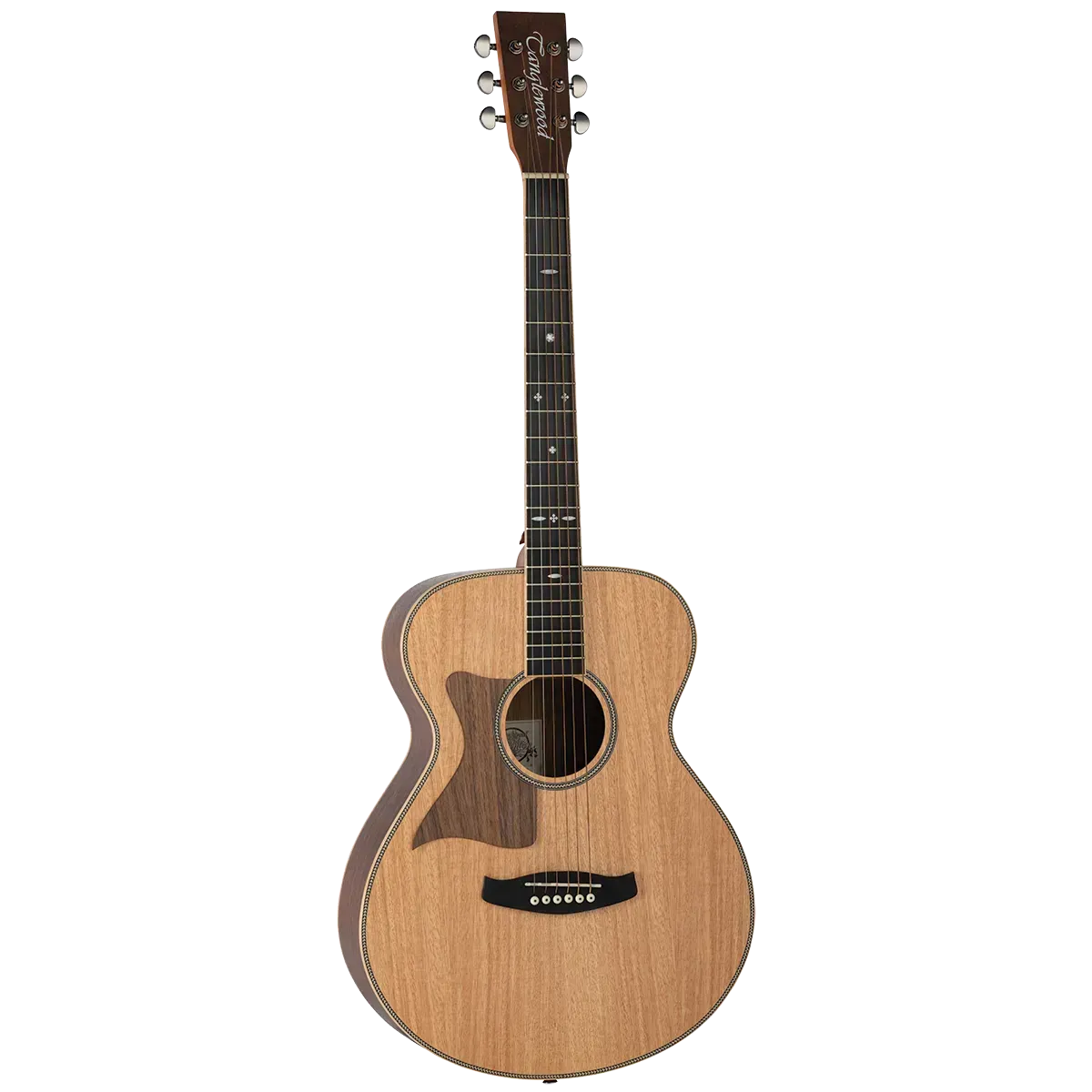 Tanglewood Reunion Pro 3 HR LH