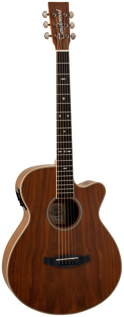Tanglewood Reunion Pro 4 CE AW