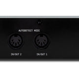 ESI Audio - ESIAMBERI2 - 2in/2out Usb-c Audio Interface