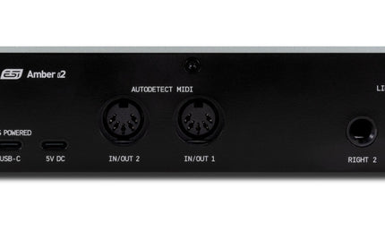 ESI Audio - ESIAMBERI2 - 2in/2out Usb-c Audio Interface