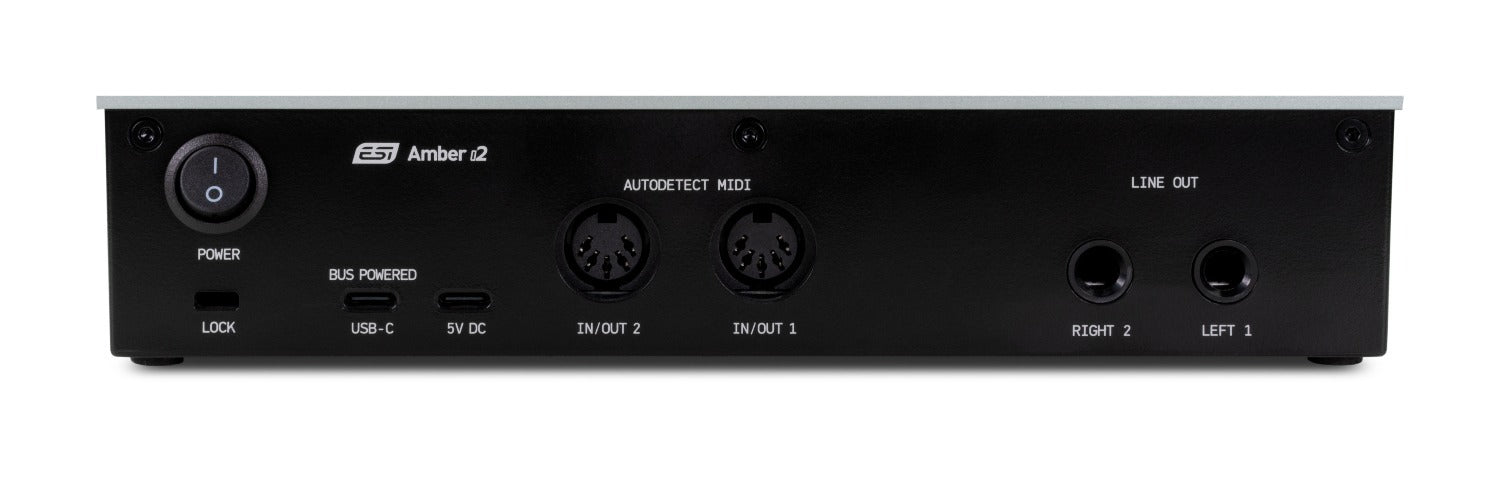 ESI Audio - ESIAMBERI2 - 2in/2out Usb-c Audio Interface