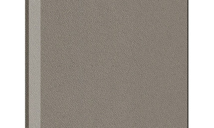 Auralex - Axb122goo - Auralex Propanel 61x61x2,5cm, Beveled Edge, Goose
