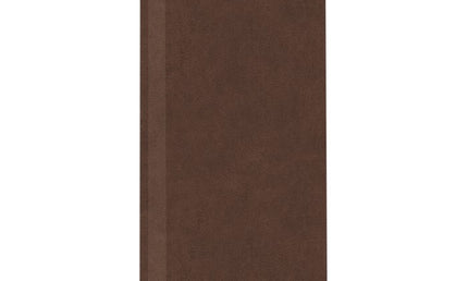 Auralex - Axb224bro_ss - Auralex Propanel 61x122x5cm, Beveled Edge, Suede Brown
