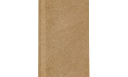 Auralex - Axb224tan_ss - Auralex Propanel 61x122x5cm, Beveled Edge, Suede Tan