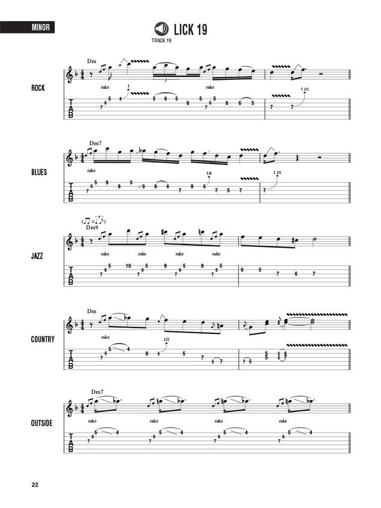 Hal Leonard Guitar Method: Lead Licks