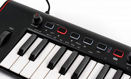 IK Multimedia - IKMIRIGKEYS2PRO - Midi Keyboard Controller with Audio Output & Full-sized Keys
