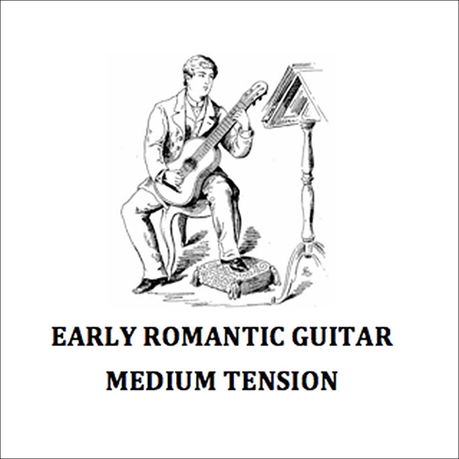 La Bella ERG1 Multi-Size Guitars akoestische gitaarsnaren voor requintogitaar, 025-040