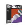 Thomastik-Infeld TH-137-12 altvioolsnaar D-2 1/2 (32,5cm/12,5"), synthetische kern, aluminium afbeelding 2