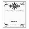 Rotosound SBP020 Swing Bass 66 .020 snaar voor elektrische basgitaar, stainless steel