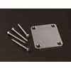 Gotoh - GTH15861 - NBS-3 neck plate, aged chrome afbeelding 3