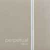 cello string D-2 medium, steel core, chrome steel
