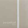 cello string D-2, steel core, chrome steel