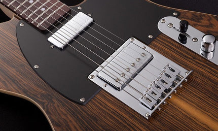 Michael-Kelly - MK55CSEPRO - 1955 Custom Collection Striped Ebony