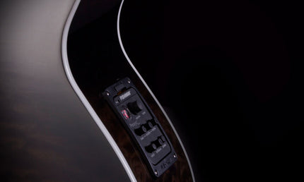 Michael-Kelly - MKD5FSBSFR - Fretless Acoustic bass