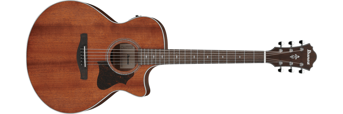 Ibanez AE140 – Akoestische gitaar – Open Pore Natural