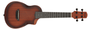 Ibanez AUC14OVL – Akoestische gitaar