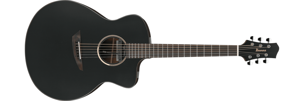 Ibanez JGM5BSN – Akoestische gitaar