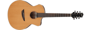 Ibanez PA230ENSL – Akoestische gitaar