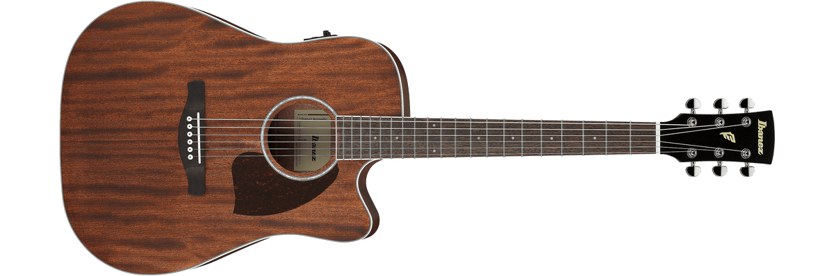 Ibanez PF16MWCEOPN – Akoestische gitaar