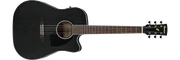 Ibanez PF16MWCEWK – Akoestische gitaar