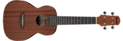 Ibanez UKS100OPN – Akoestische gitaar