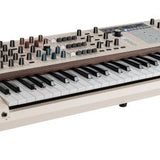 Arturia - ARPOLYBRUTE12 - 12-Voice Polyphonic Analog Synthesizer
