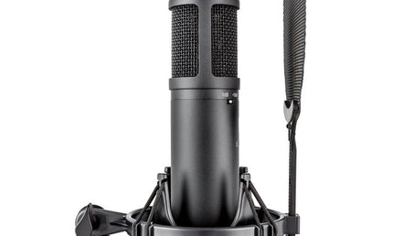 sE Electronics - QRSE2200 - cardioid condenser microphone.