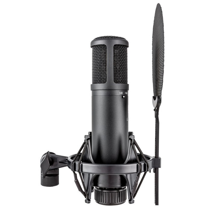 sE Electronics - QRSE2200 - cardioid condenser microphone.