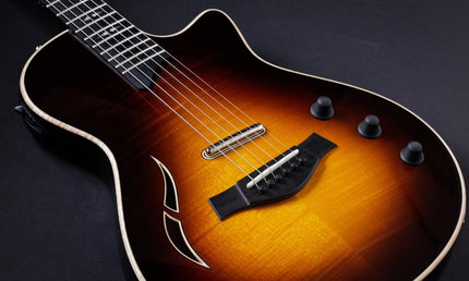 Taylor T5z Pro Tobacco Sunburst