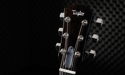 Taylor T5z Pro Tobacco Sunburst