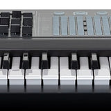 Arturia - Armatrixbrutene - Synthesizer